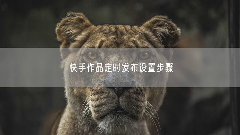 快手作品定时发布设置步骤