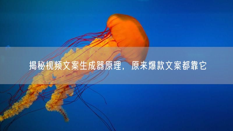 揭秘视频文案生成器原理，原来爆款文案都靠它