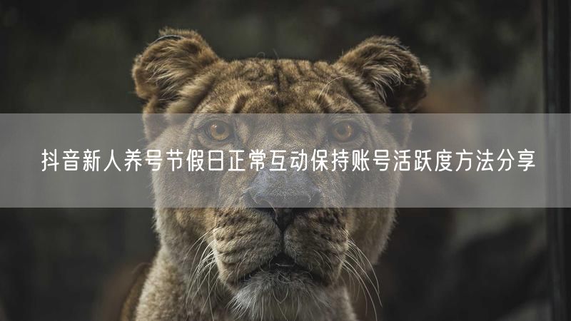 抖音新人养号节假日正常互动保持账号活跃度方法分享