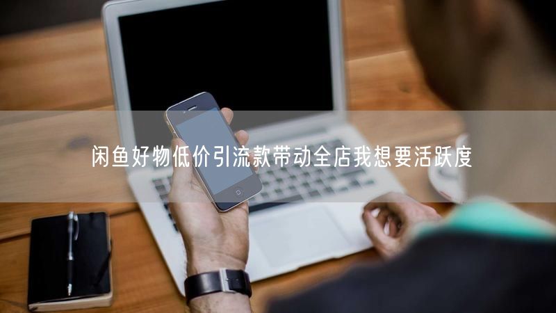 闲鱼好物低价引流款带动全店我想要活跃度
