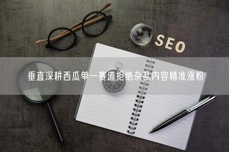 垂直深耕西瓜单一赛道拒绝杂乱内容精准涨粉