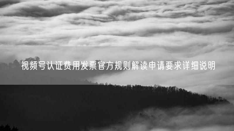 视频号认证费用发票官方规则解读申请要求详细说明