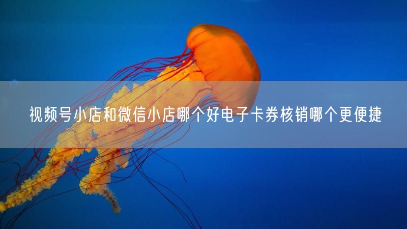 视频号小店和微信小店哪个好电子卡券核销哪个更便捷