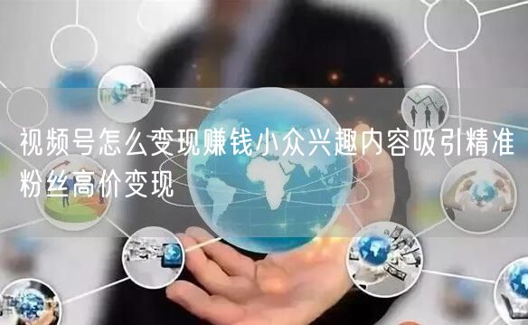 视频号怎么变现赚钱小众兴趣内容吸引精准粉丝高价变现