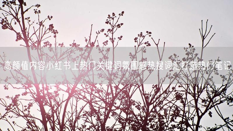 高颜值内容小红书上热门关键词氛围感热搜词汇打造热门笔记