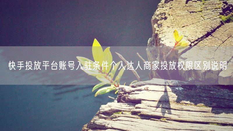 快手投放平台账号入驻条件个人达人商家投放权限区别说明