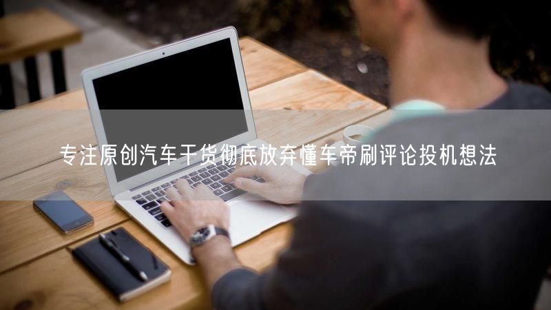 专注原创汽车干货彻底放弃懂车帝刷评论投机想法