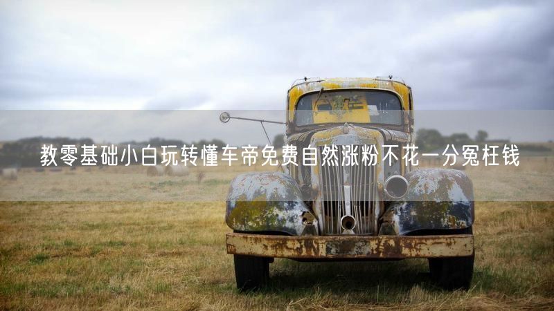 教零基础小白玩转懂车帝免费自然涨粉不花一分冤枉钱