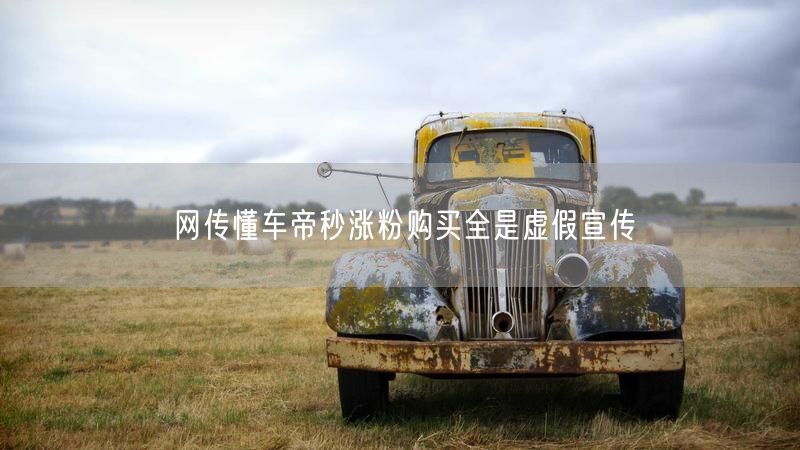 网传懂车帝秒涨粉购买全是虚假宣传