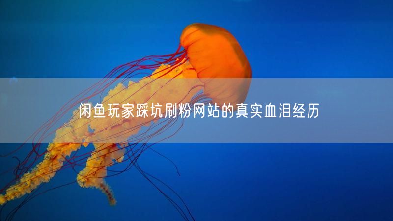 闲鱼玩家踩坑刷粉网站的真实血泪经历