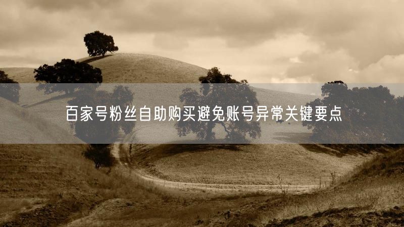 百家号粉丝自助购买避免账号异常关键要点