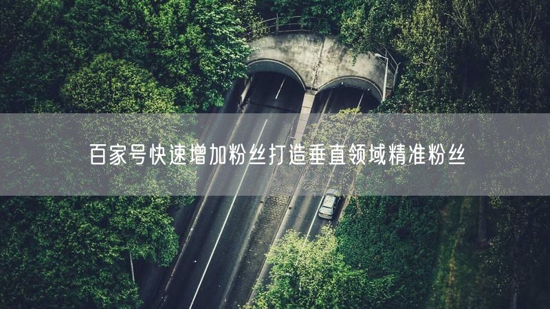百家号快速增加粉丝打造垂直领域精准粉丝