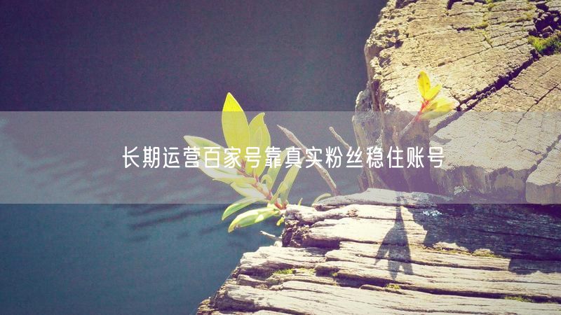 长期运营百家号靠真实粉丝稳住账号
