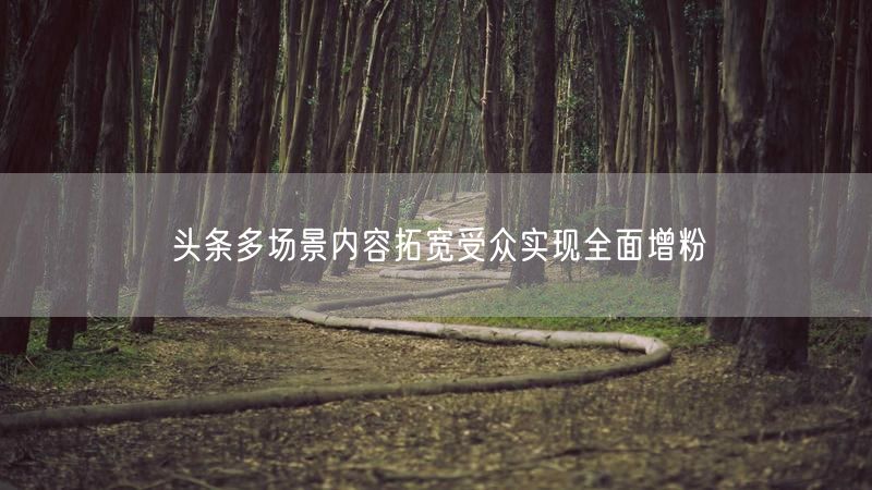 头条多场景内容拓宽受众实现全面增粉