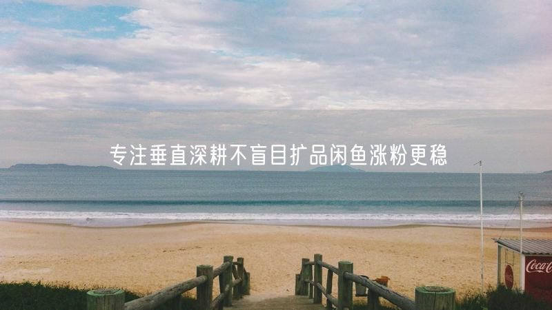 专注垂直深耕不盲目扩品闲鱼涨粉更稳