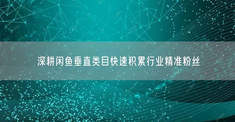 深耕闲鱼垂直类目快速积累行业精准粉丝
