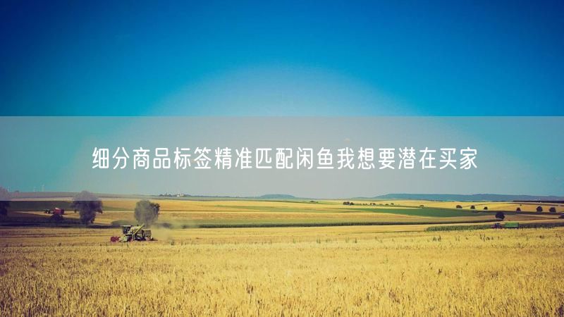 细分商品标签精准匹配闲鱼我想要潜在买家