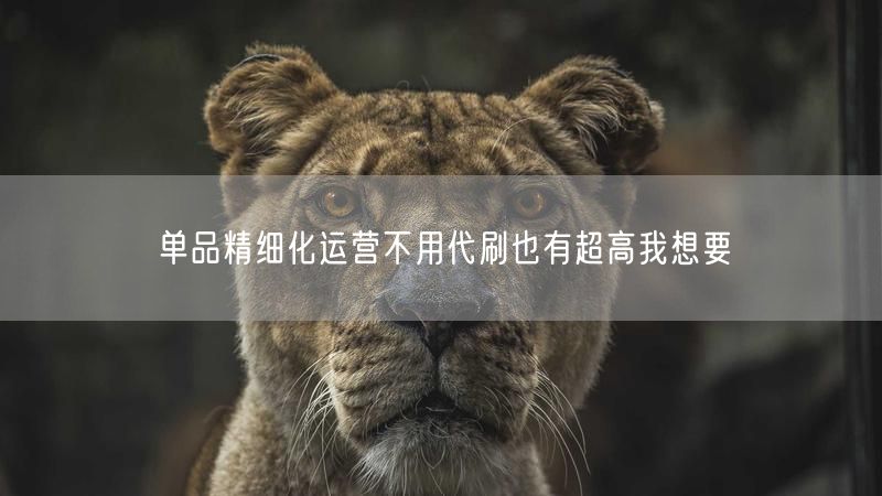单品精细化运营不用代刷也有超高我想要