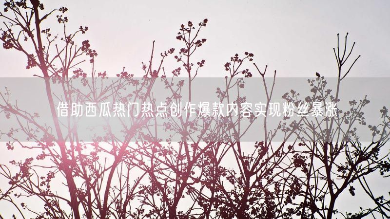 借助西瓜热门热点创作爆款内容实现粉丝暴涨