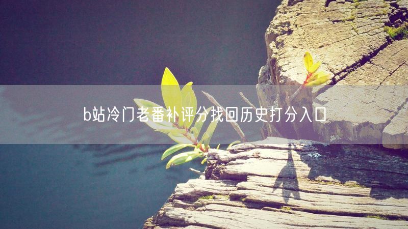b站冷门老番补评分找回历史打分入口