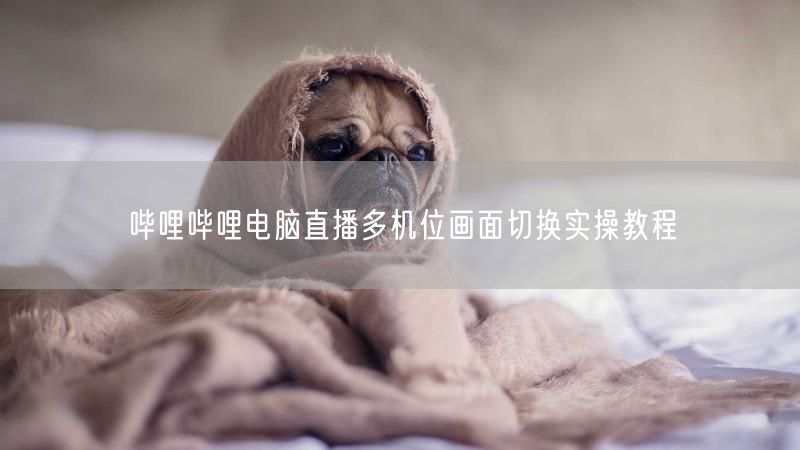 哔哩哔哩电脑直播多机位画面切换实操教程