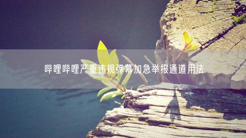哔哩哔哩严重违规弹幕加急举报通道用法