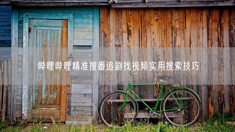 哔哩哔哩精准搜番追剧找视频实用搜索技巧