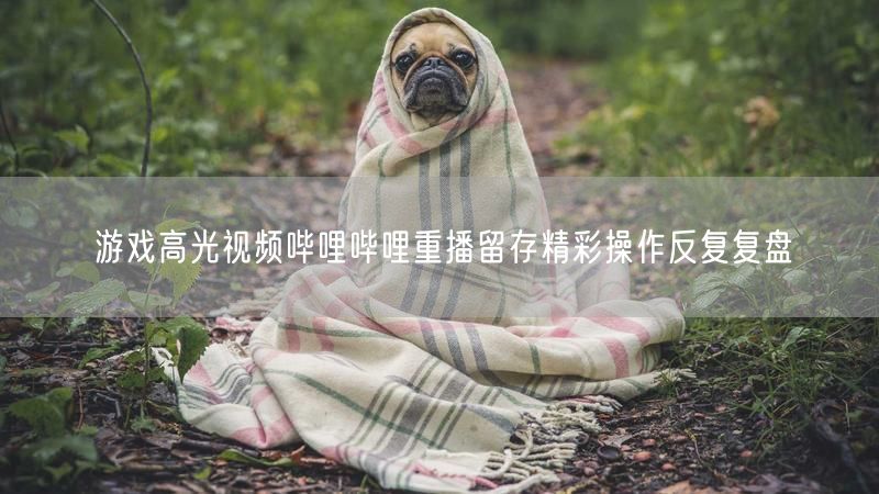 游戏高光视频哔哩哔哩重播留存精彩操作反复复盘