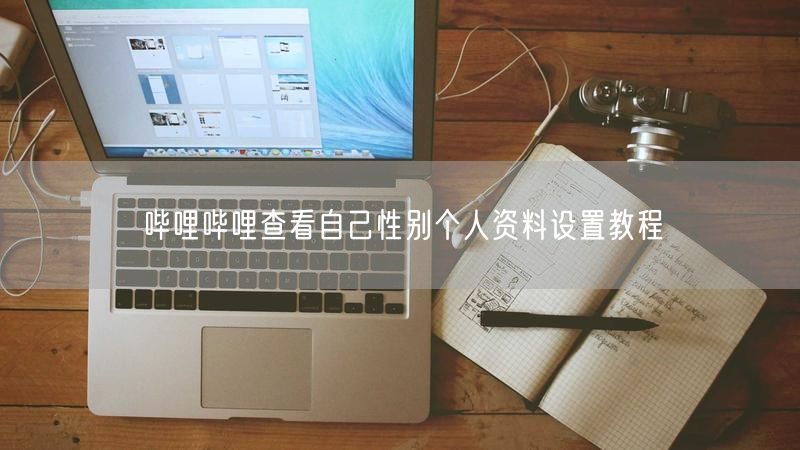 哔哩哔哩查看自己性别个人资料设置教程