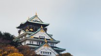 抓住西瓜周末流量高峰发布作品涨粉